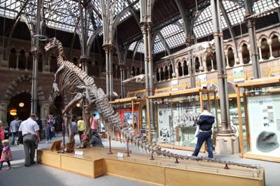 吴国盛视角下的牛津大学自然博物馆 作为自然科学研究中心的历史与启示