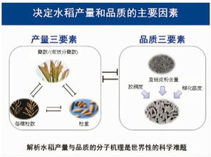 2017年度国家科技奖励大会 自然科学研究的新高度与时代使命
